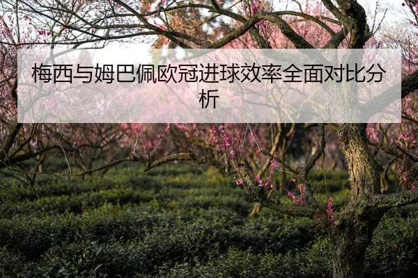 梅西与姆巴佩欧冠进球效率全面对比分析